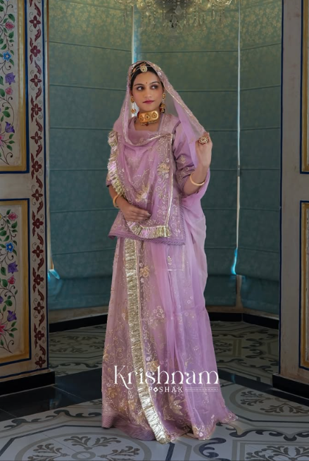Festive Flared Anarkali Suit Detail