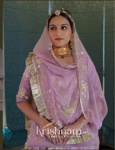 Festive Flared Anarkali Suit