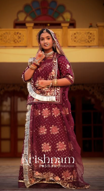 Chanderi Silk Handcrafted Saree Detail