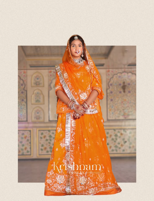 Georgette Sequence Saree Detail